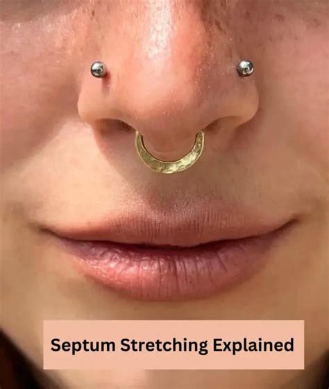 stacked septum|septum stretching sizes.